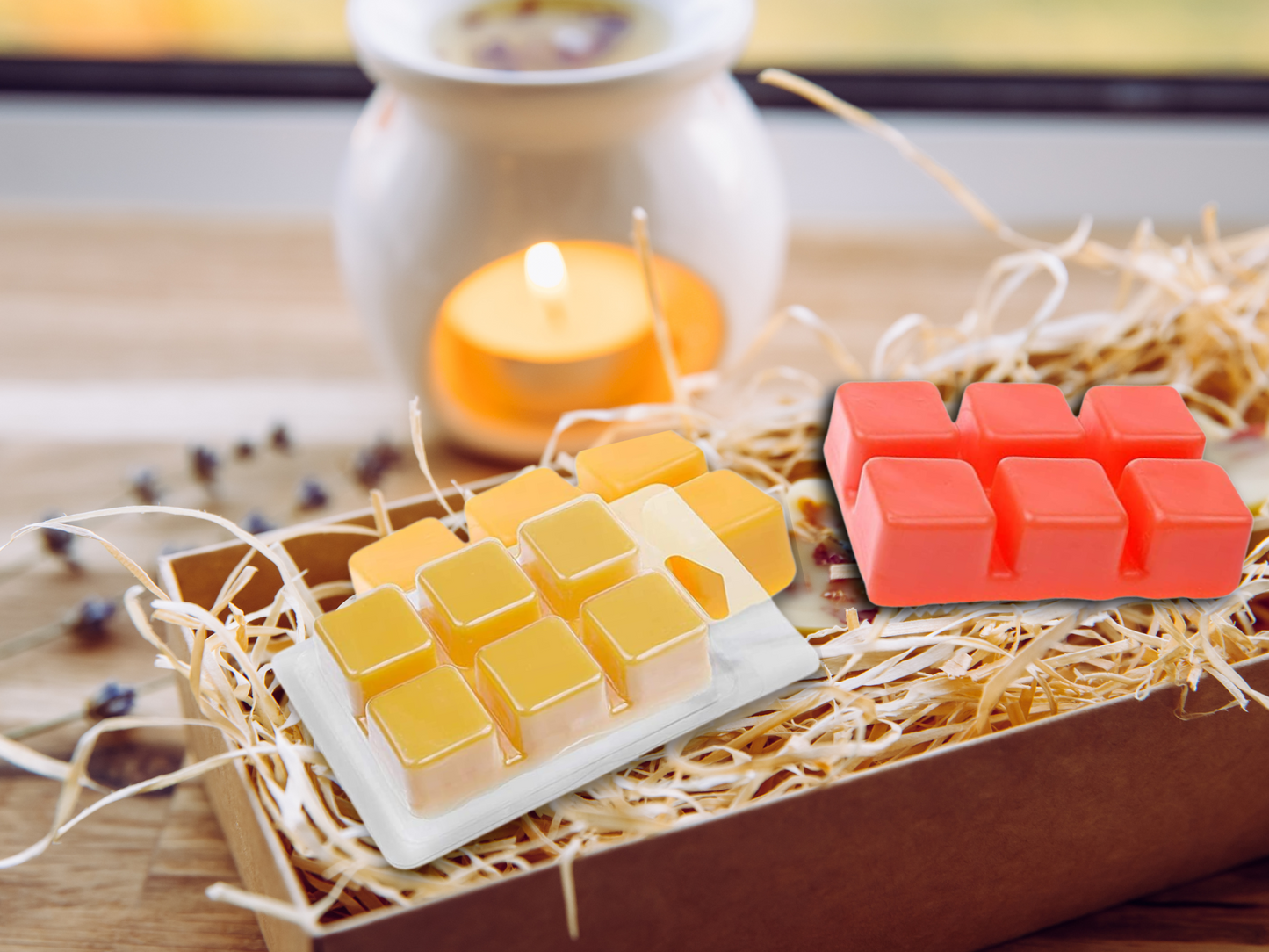 Clamshell Wax Melts - Cozy & Comforting  – Warm, Inviting Scents for Relaxation & Seasonal Gifting