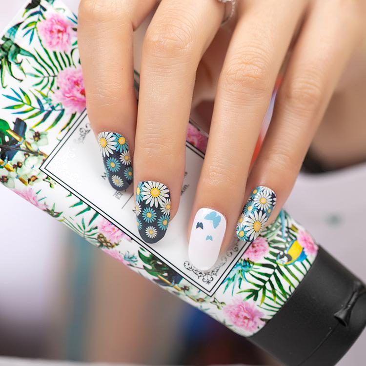 Daisy's and Butterflies